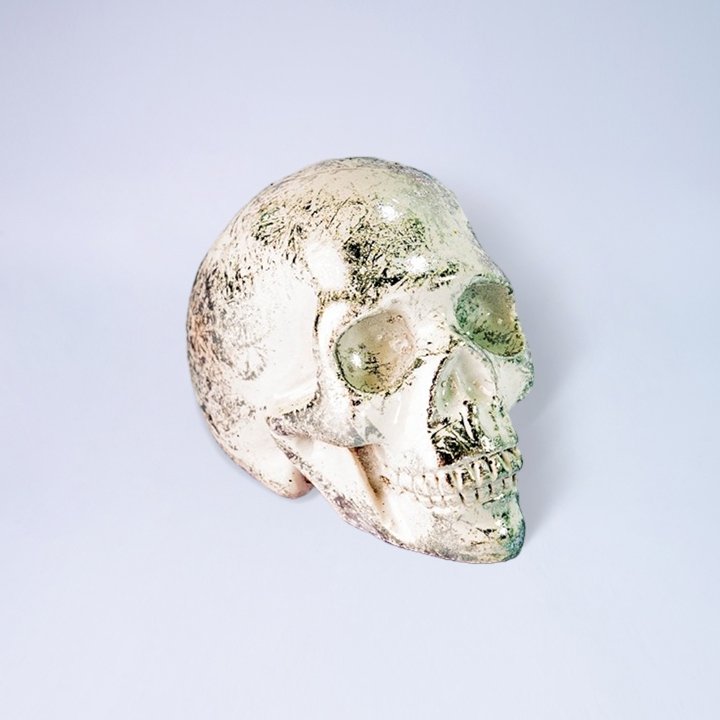 116 KEPALA TENGKORAK POLOS K 75 4