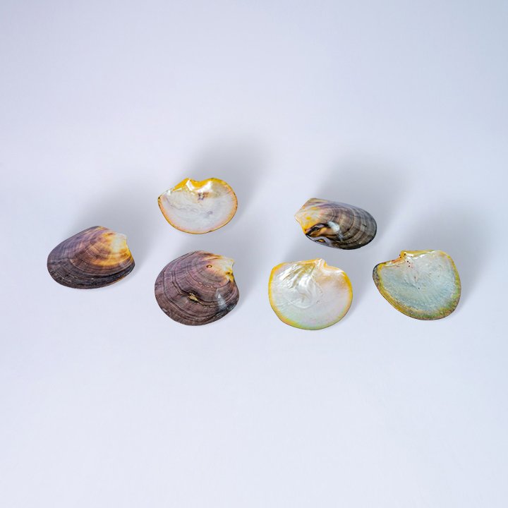 215 LEPEKAN MUTIARA ISI 6 B 450 10