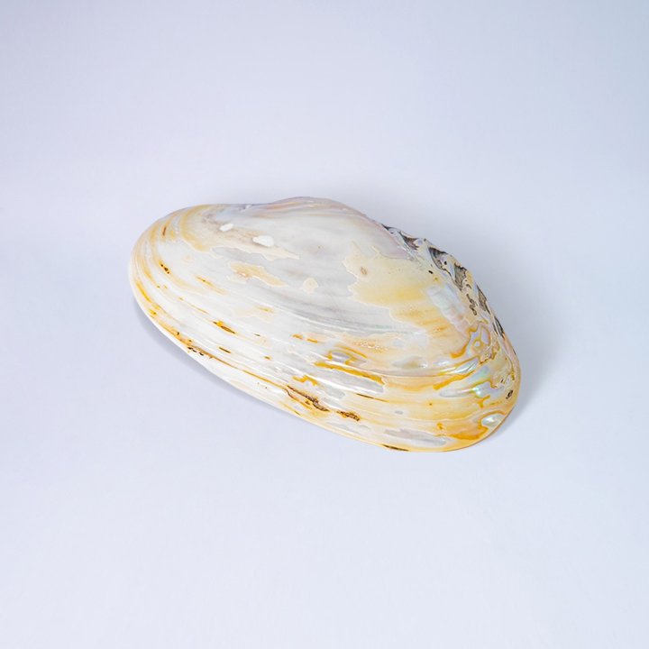 217 LEPEKAN KOPANG K 60 3