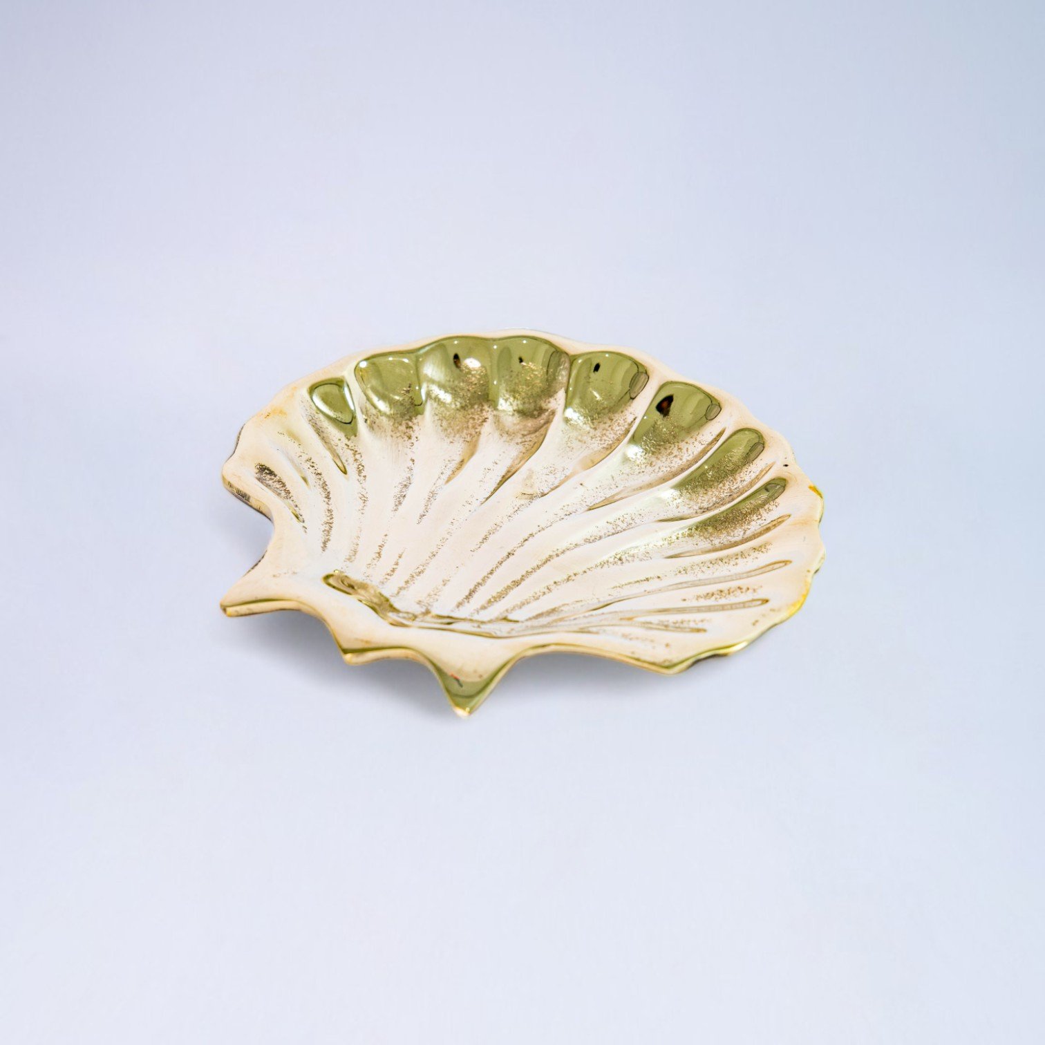 330 KERANG PRUNGGU 210 5